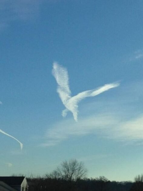 pareidolie nuage nuage forme