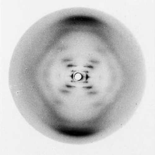 Rosalind Franklin - "Photo 51" de l'ADN