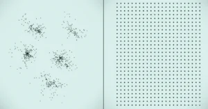 effet râteau biais psychologiques.com